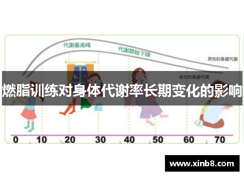 燃脂训练对身体代谢率长期变化的影响